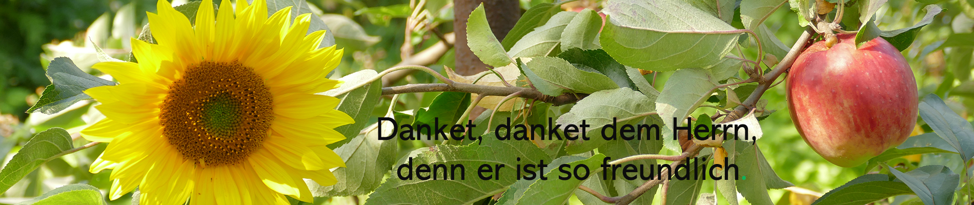 cropped-Logohaseltalpostille.jpg